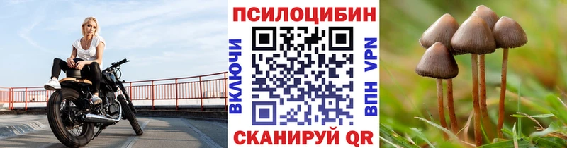 Псилоцибиновые грибы Magic Shrooms  Купить  Магнитогорск 
